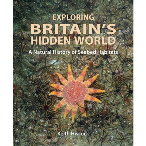 Wild Nature Press Exploring Britain's Hidden World (inbunden, eng)