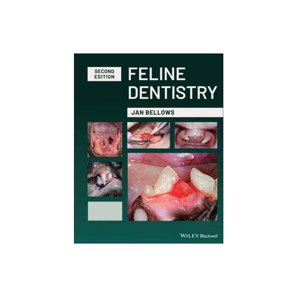 Produktbild för Feline Dentistry (inbunden, eng)
