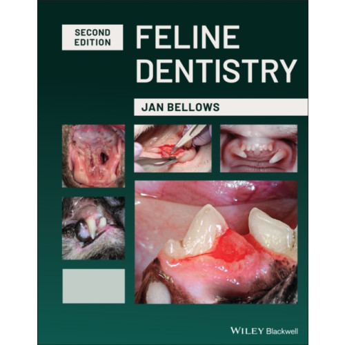 John Wiley And Sons Ltd Feline Dentistry (inbunden, eng)