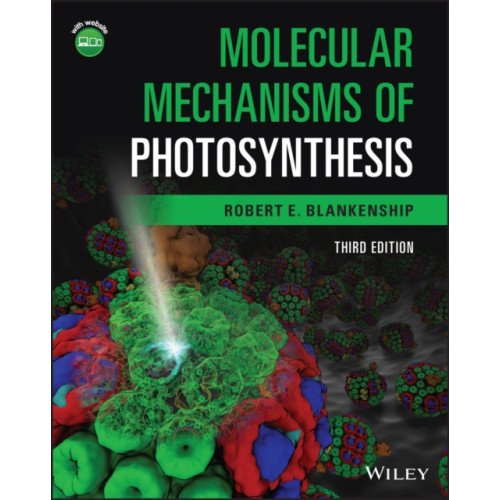John Wiley & Sons Inc Molecular Mechanisms of Photosynthesis (häftad, eng)
