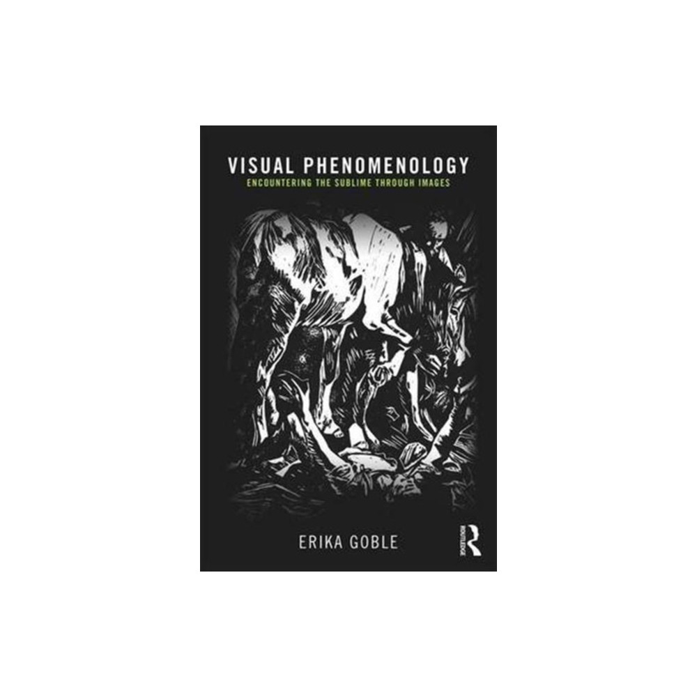 Produktbild för Visual Phenomenology (häftad, eng)
