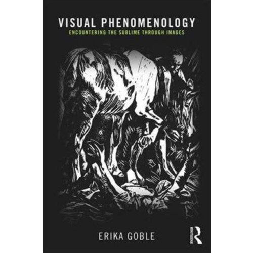 Taylor & francis ltd Visual Phenomenology (häftad, eng)
