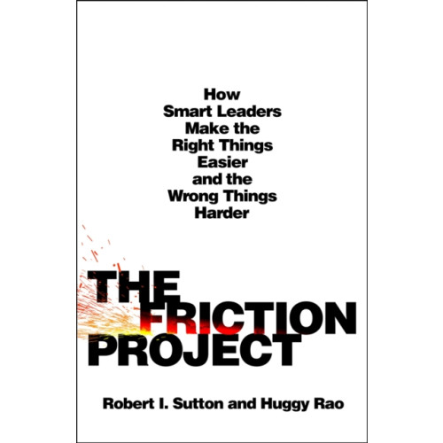 St Martins Pr The Friction Project (inbunden, eng)
