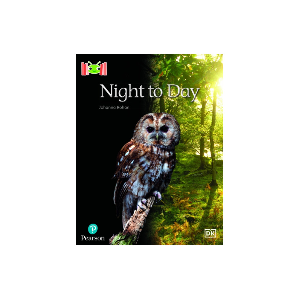 Produktbild för Bug Club Reading Corner: Age 4-5: Night to Day (häftad, eng)