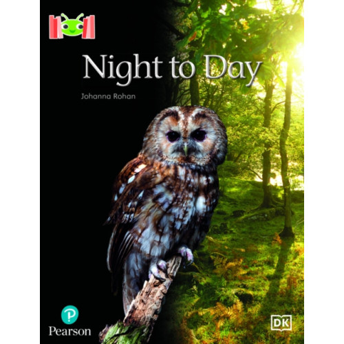Pearson Education Limited Bug Club Reading Corner: Age 4-5: Night to Day (häftad, eng)