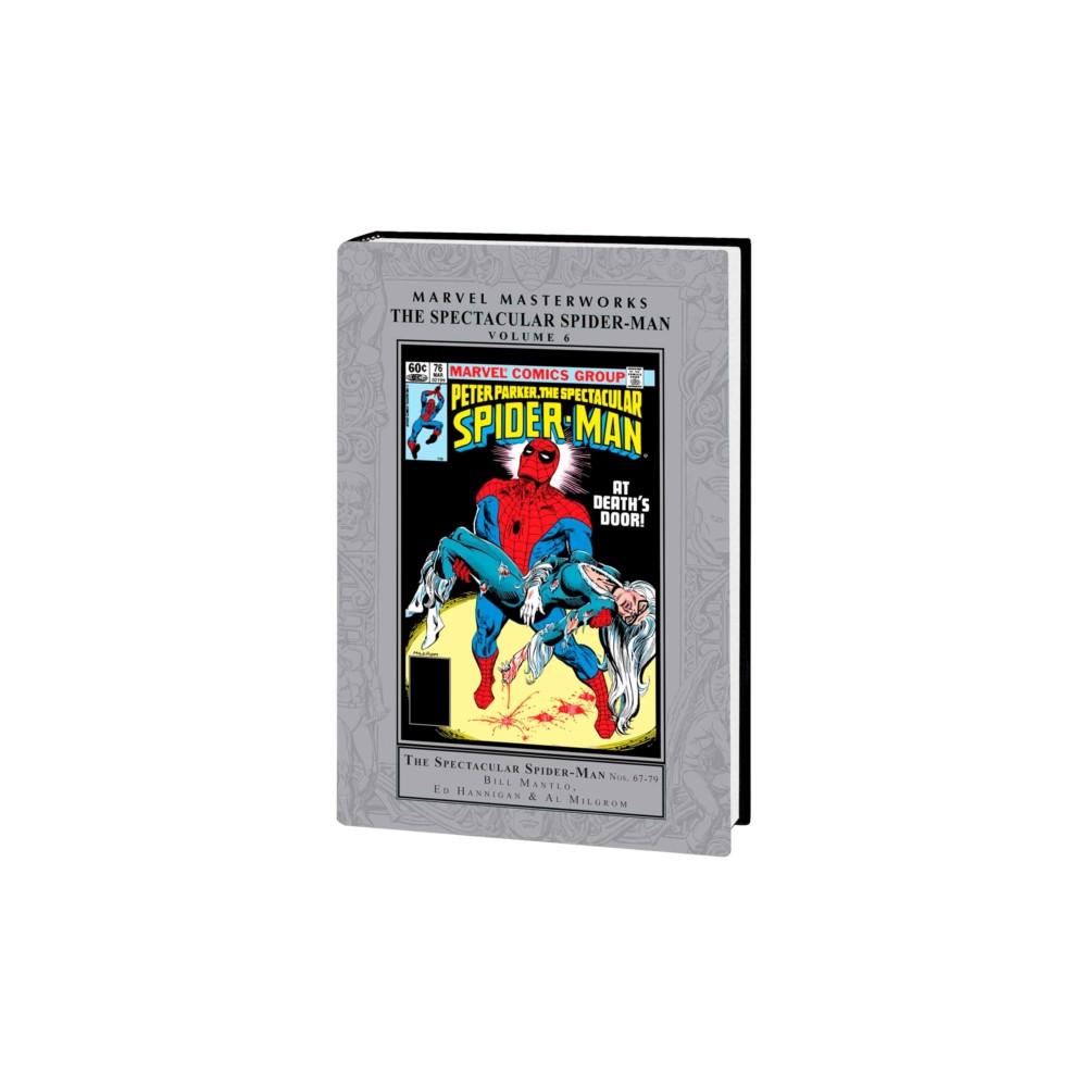 Produktbild för Marvel Masterworks: The Spectacular Spider-Man Vol. 6 (inbunden, eng)