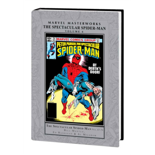 Marvel Comics Marvel Masterworks: The Spectacular Spider-Man Vol. 6 (inbunden, eng)