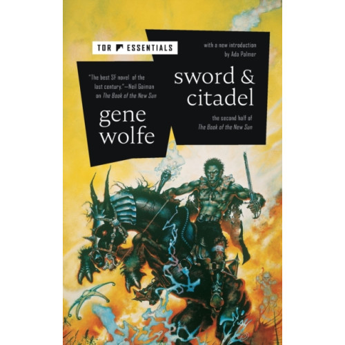 Tor Publishing Group Sword & Citadel (häftad, eng)