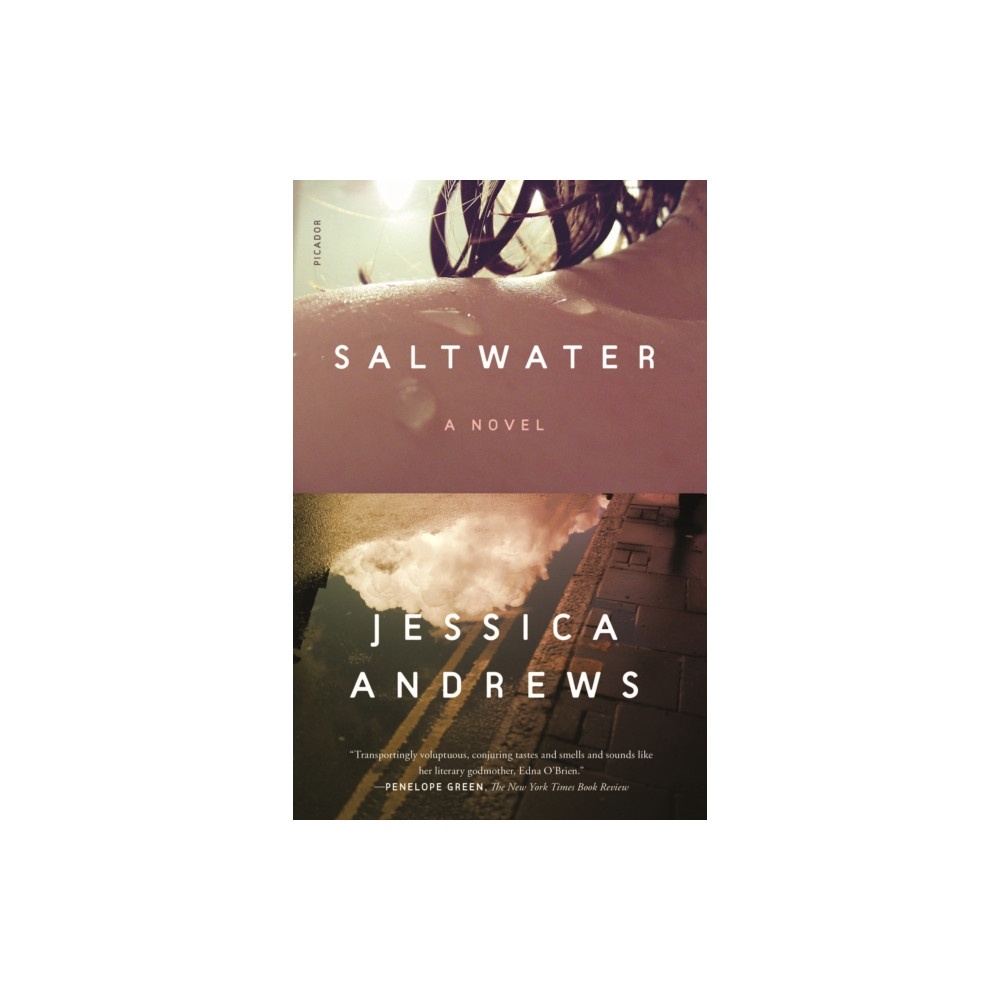 Produktbild för Saltwater (häftad, eng)