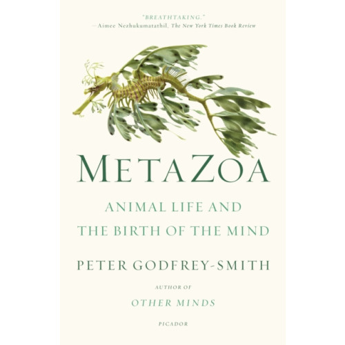 PICADOR Metazoa (häftad, eng)