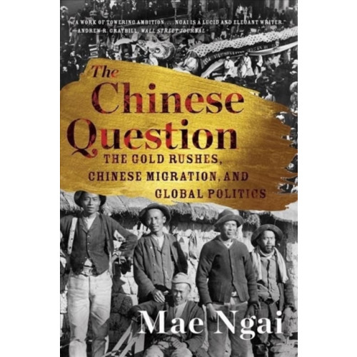 WW Norton & Co The Chinese Question (häftad, eng)