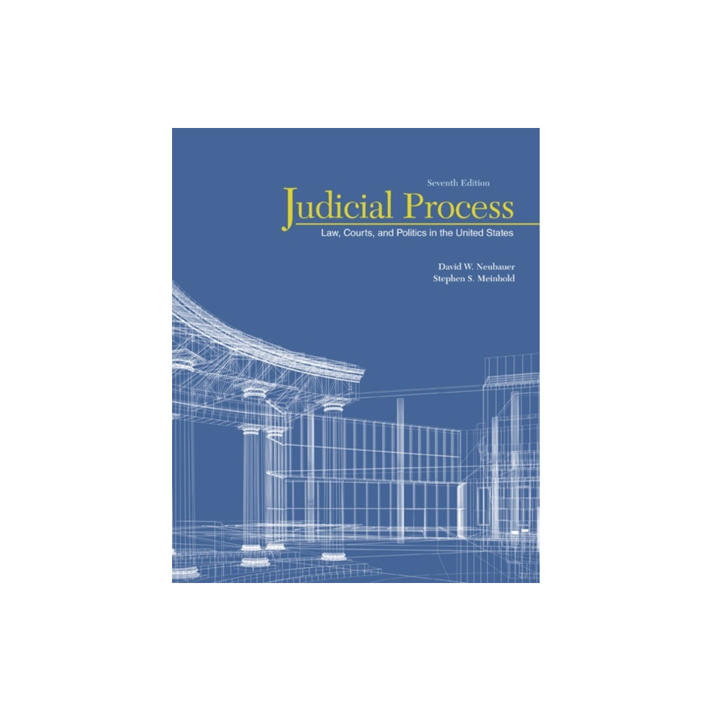 Produktbild för Judicial Process (häftad, eng)