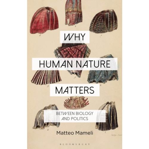 Bloomsbury Publishing PLC Why Human Nature Matters (häftad, eng)