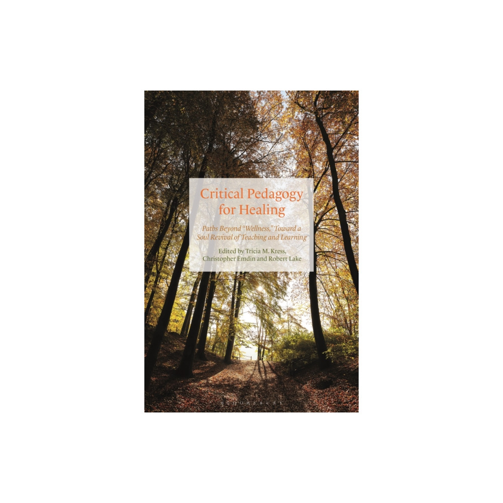 Produktbild för Critical Pedagogy for Healing (häftad, eng)