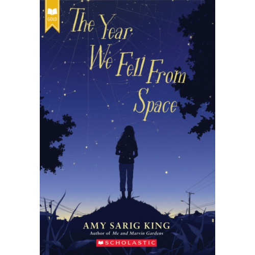 Scholastic Inc. The Year We Fell From Space (Scholastic Gold) (häftad, eng)