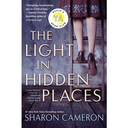Not Stated The Light in Hidden Places (häftad, eng)