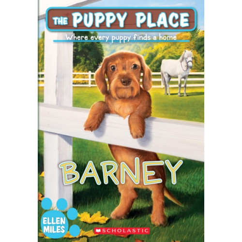 Scholastic Inc. Barney (The Puppy Place #57) (häftad, eng)