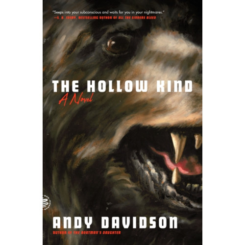 PICADOR The Hollow Kind (häftad, eng)