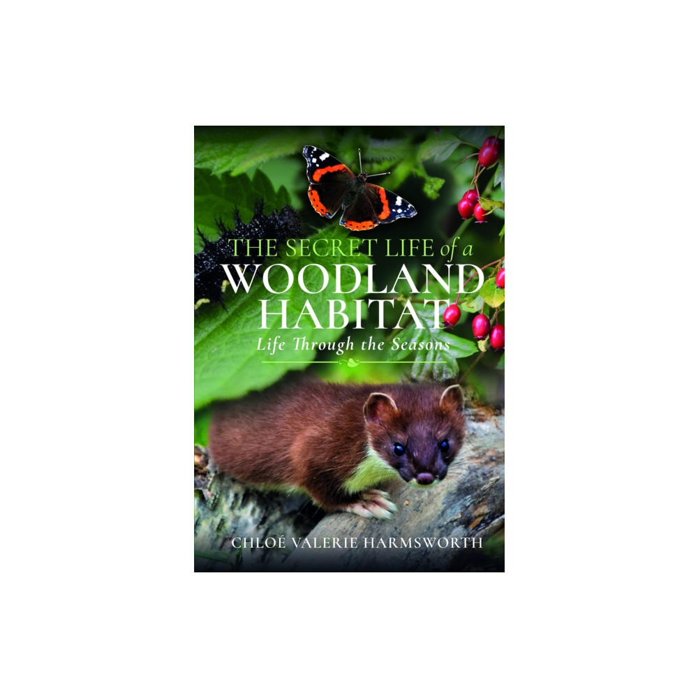Produktbild för The Secret Life of a Woodland Habitat (inbunden, eng)