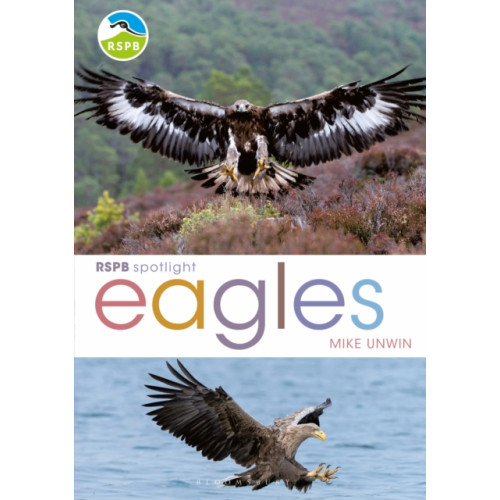 Bloomsbury Publishing PLC RSPB Spotlight: Eagles (häftad, eng)