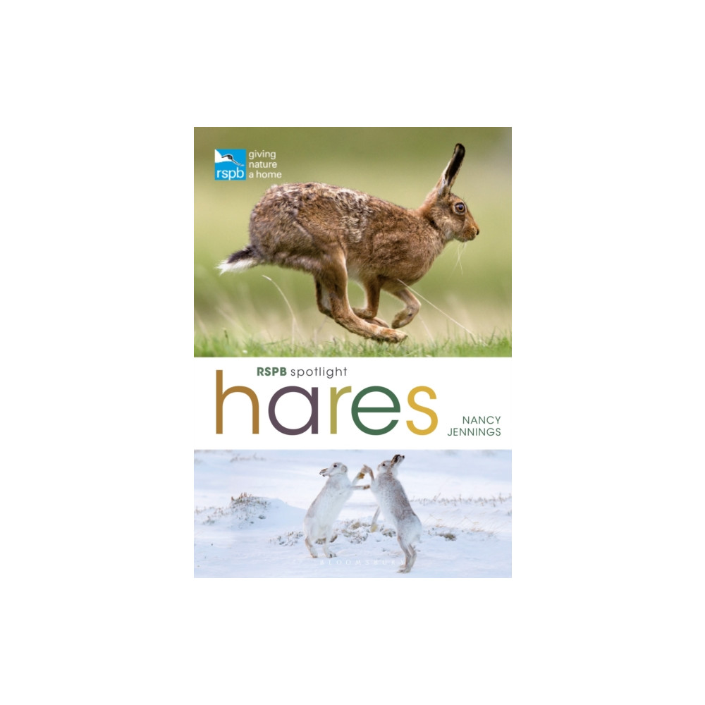 Produktbild för RSPB Spotlight Hares (häftad, eng)