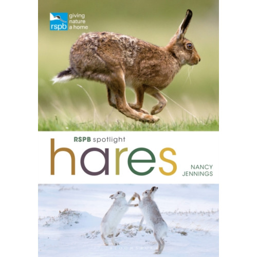 Bloomsbury Publishing PLC RSPB Spotlight Hares (häftad, eng)