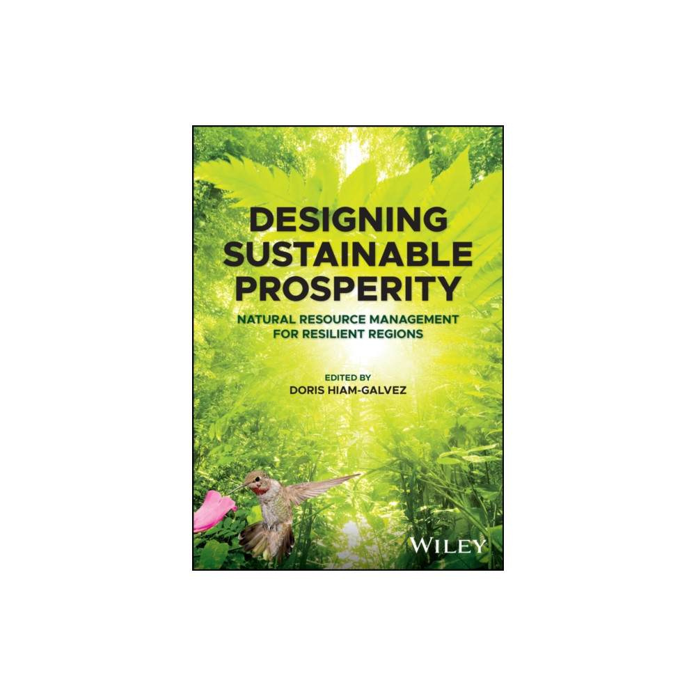 Produktbild för Designing Sustainable Prosperity (häftad, eng)