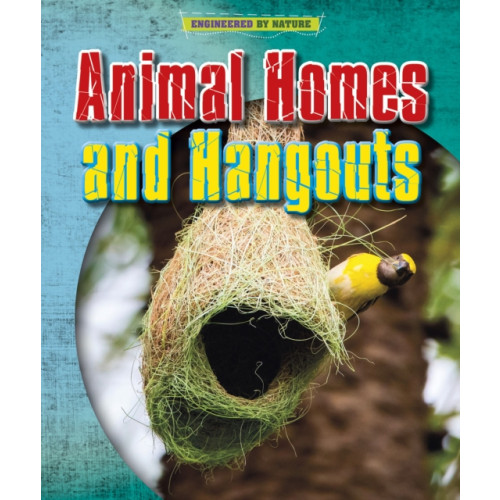 Capstone Global Library Ltd Animal Homes and Hang-outs (häftad, eng)