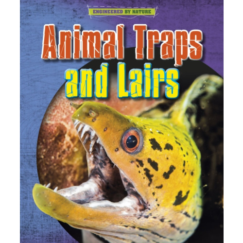 Capstone Global Library Ltd Animal Traps and Lairs (häftad, eng)