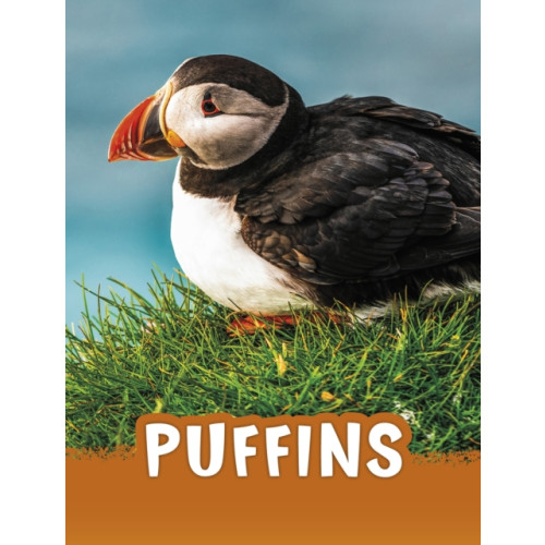 Capstone Global Library Ltd Puffins (häftad, eng)