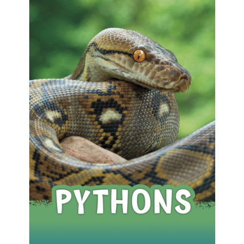 Capstone Global Library Ltd Pythons (häftad, eng)