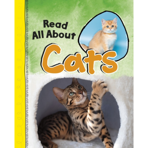 Capstone Global Library Ltd Read All About Cats (häftad, eng)