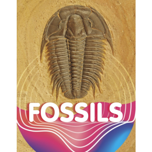 Capstone Global Library Ltd Fossils (inbunden, eng)