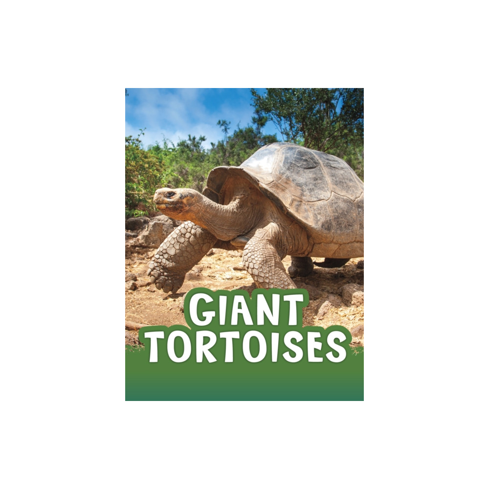 Produktbild för Giant Tortoises (häftad, eng)