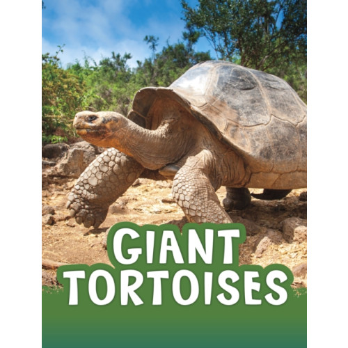 Capstone Global Library Ltd Giant Tortoises (häftad, eng)