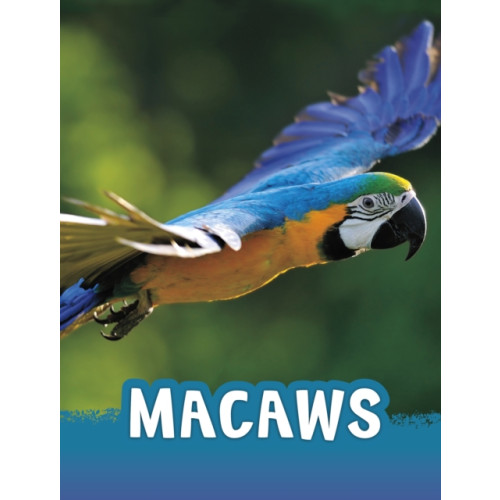 Capstone Global Library Ltd Macaws (häftad, eng)