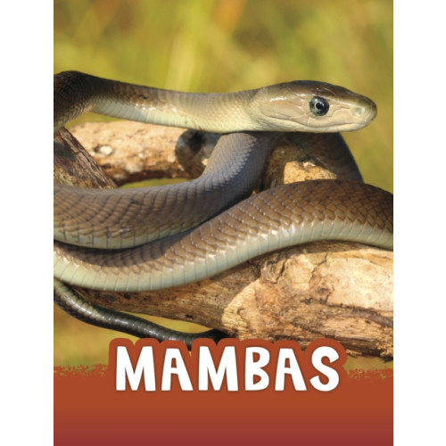 Capstone Global Library Ltd Mambas (häftad, eng)