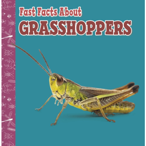 Capstone Global Library Ltd Fast Facts About Grasshoppers (häftad, eng)