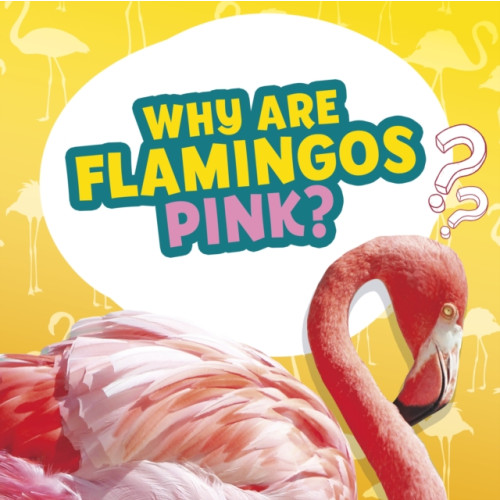 Capstone Global Library Ltd Why Are Flamingos Pink? (inbunden, eng)