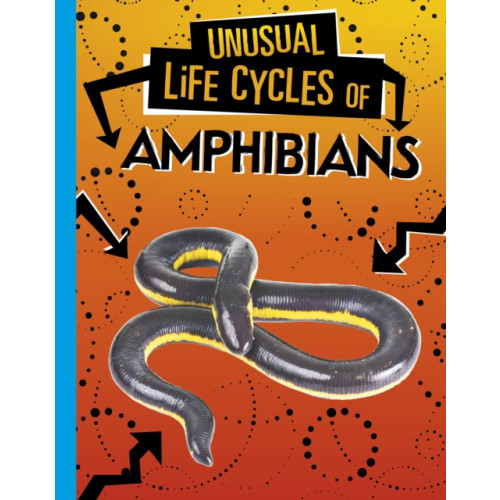 Capstone Global Library Ltd Unusual Life Cycles of Amphibians (inbunden, eng)