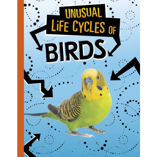 Capstone Global Library Ltd Unusual Life Cycles of Birds (inbunden, eng)