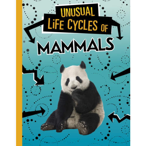 Capstone Global Library Ltd Unusual Life Cycles of Mammals (inbunden, eng)