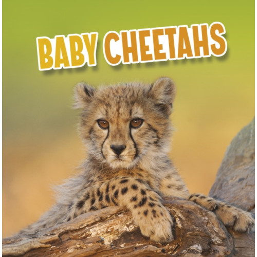 Capstone Global Library Ltd Baby Cheetahs (inbunden, eng)