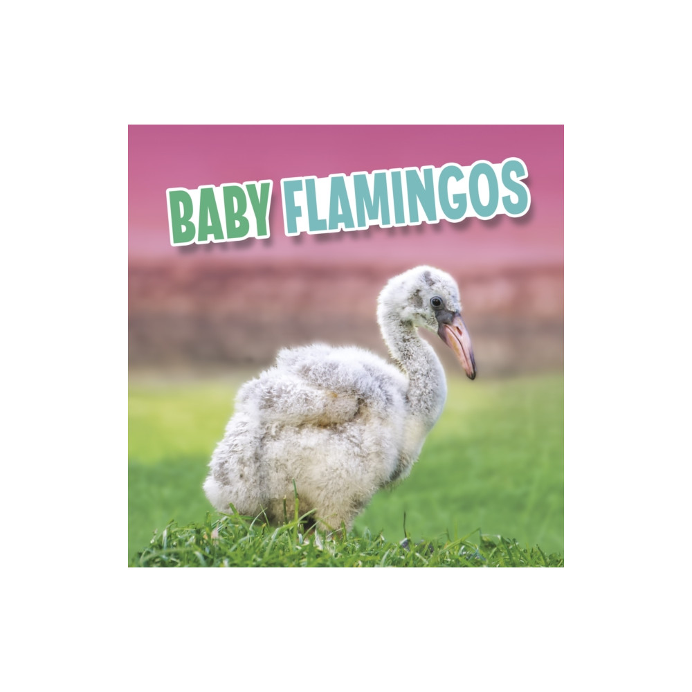 Produktbild för Baby Flamingos (häftad, eng)