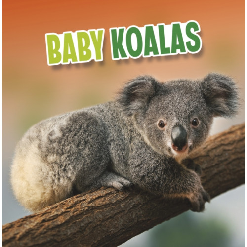 Capstone Global Library Ltd Baby Koalas (inbunden, eng)