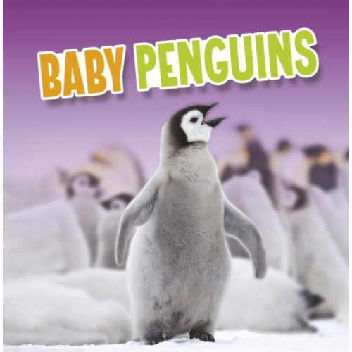Capstone Global Library Ltd Baby Penguins (häftad, eng)