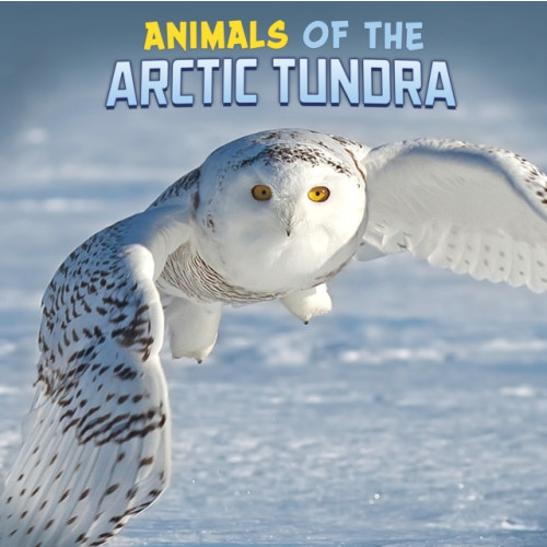 Capstone Global Library Ltd Animals of the Arctic Tundra (inbunden, eng)