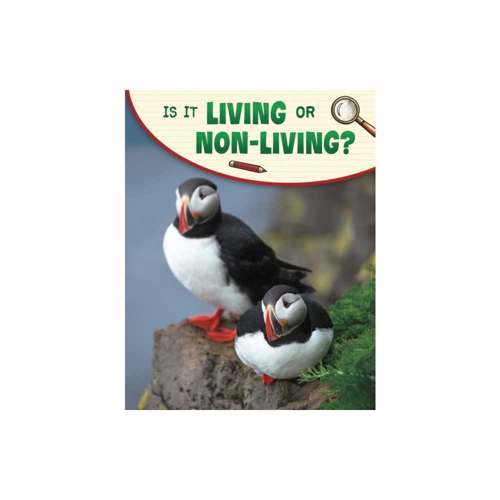Produktbild för Is It Living or Non-living? (häftad, eng)