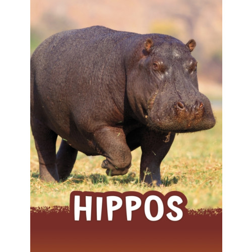 Capstone Global Library Ltd Hippos (inbunden, eng)