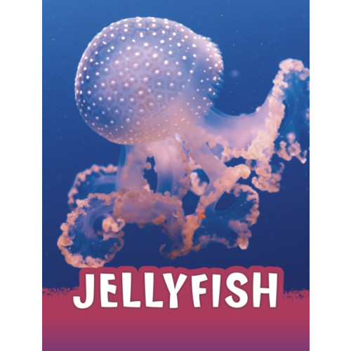 Capstone Global Library Ltd Jellyfish (inbunden, eng)